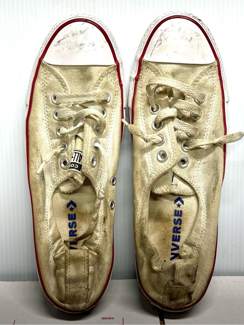 Converse ShorelineW-11 Worn